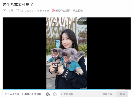 新华社美女记者分享《黑神话》八戒公仔：太可爱了！