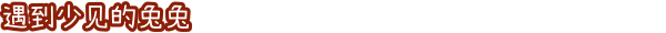 《兔兔岛》游戏特色内容介绍