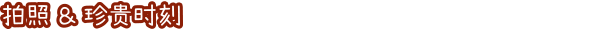 《兔兔岛》游戏特色内容介绍
