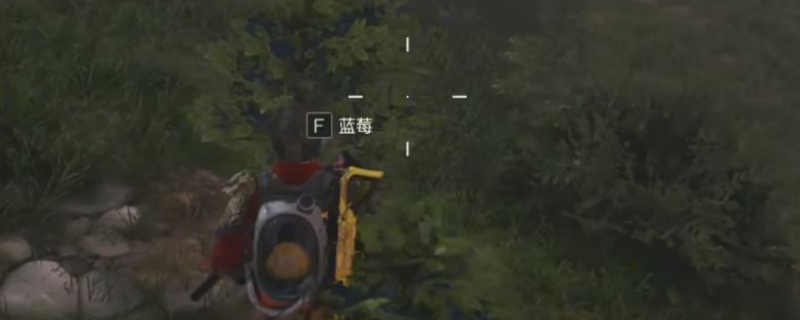 《七日世界》蓝莓获取位置介绍