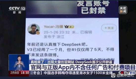 央视报道DeepSeek辟谣仿冒网站！冯骥微博截图亮相
