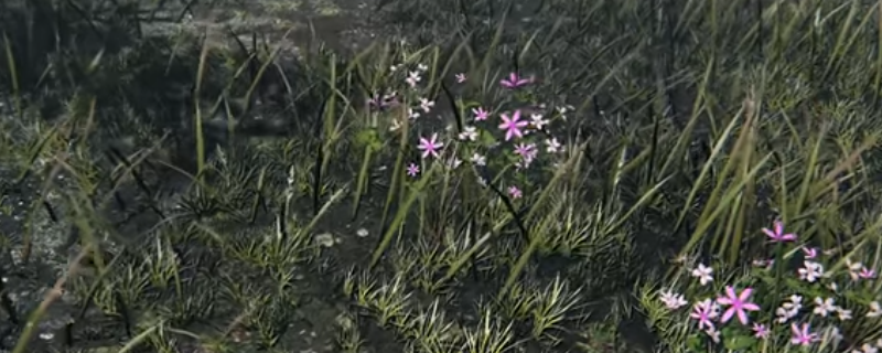 《艾尔登法环：黑夜君临》隐者职业玩法技巧分享