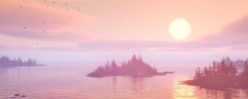 《失落的记录：绽放与愤怒》收藏品环嘴鸥位置介绍