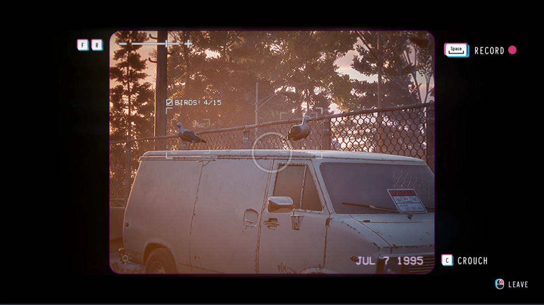 《失落的记录：绽放与愤怒》收藏品环嘴鸥位置介绍