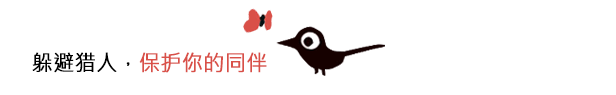 《Koira》游戏特色内容介绍
