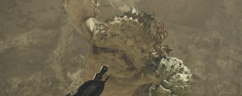 《怪物猎人：荒野》应对缠蛙招式方法介绍