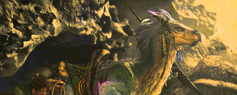 《怪物猎人：荒野》端丽翼鸟具体位置介绍