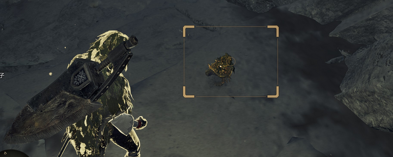 《怪物猎人：荒野》雕币持有者成就攻略分享