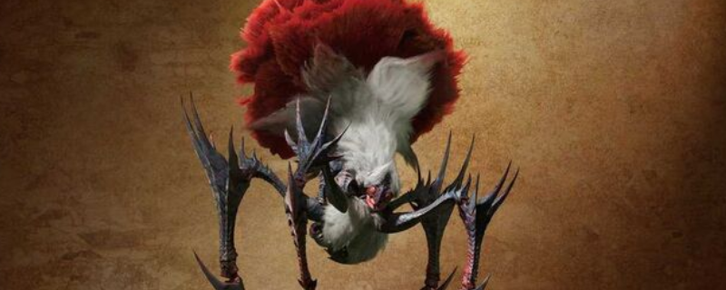 《怪物猎人：荒野》刺花蜘蛛打法技巧分享