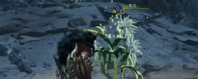 《怪物猎人：荒野》刷一夜花攻略介绍