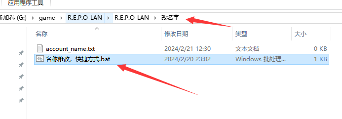 《R.E.P.O.》游侠对战平台联机教程
