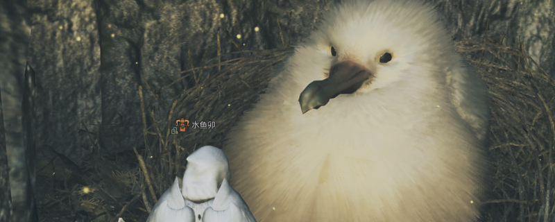 《怪物猎人：荒野》巨大柔毛秧鸡具体位置介绍