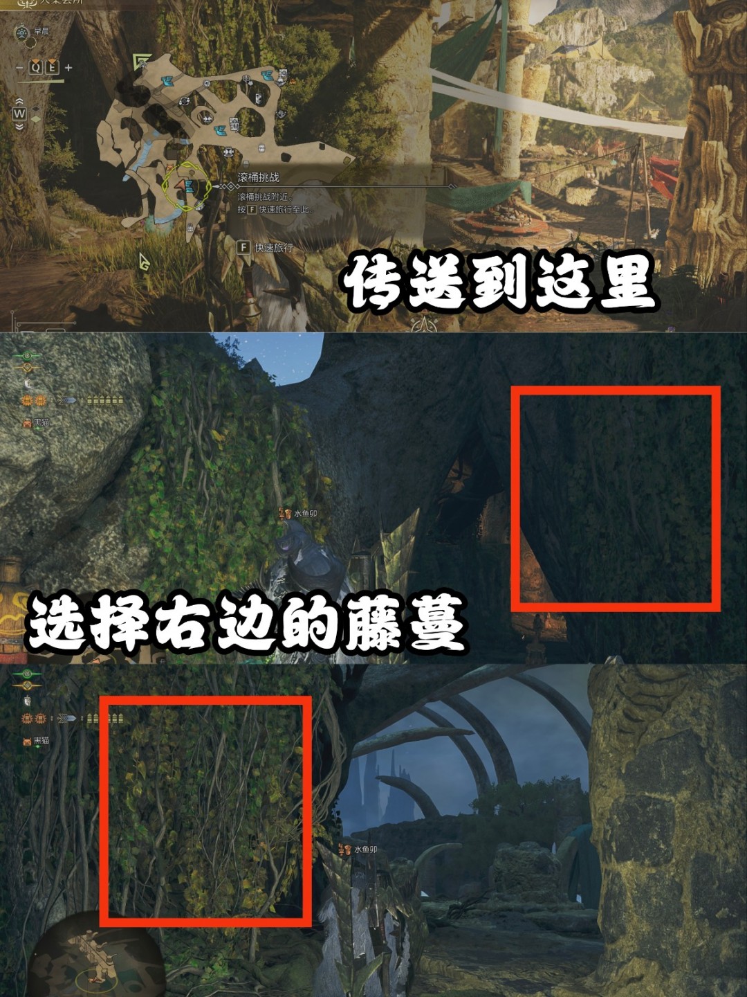 《怪物猎人：荒野》巨大柔毛秧鸡具体位置介绍