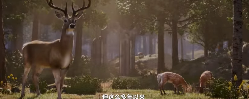 《上古卷轴4：湮灭重制版》豪华版奖励介绍