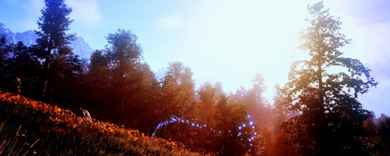 《上古卷轴4:湮灭重制版》游玩建议分享