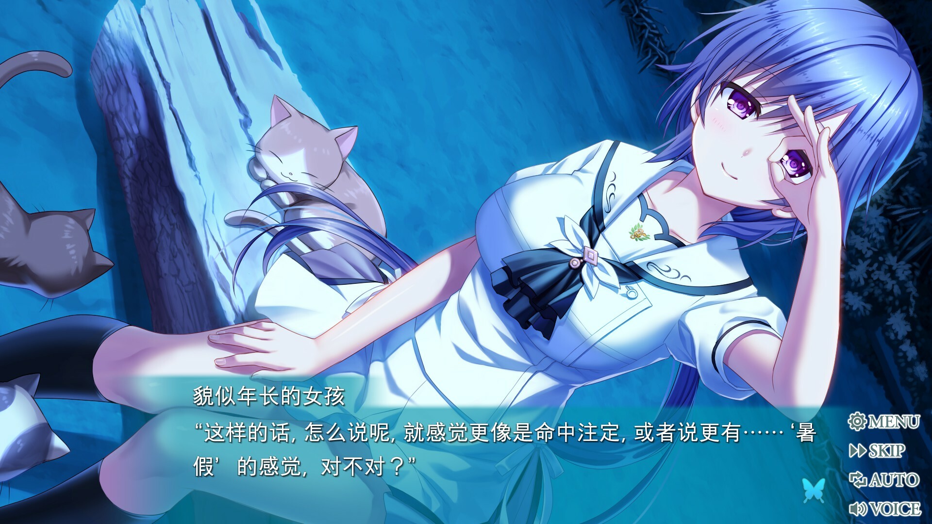 夏日口袋：流光蓝/Summer Pockets REFLECTION BLUE