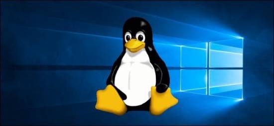 Steam平台Linux系统玩家突破3%！或因Win10停止支持