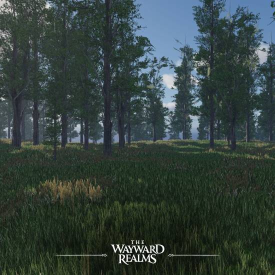 《上古卷轴》精神续作《The Wayward Realms》放弃虚幻5！采用更优秀的自研引擎