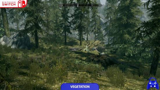 《上古卷轴5》NS2版画质提升肉眼可见！但锁30帧！